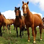 São Cristóvão Nature Country Venda Nova (Villa Real)