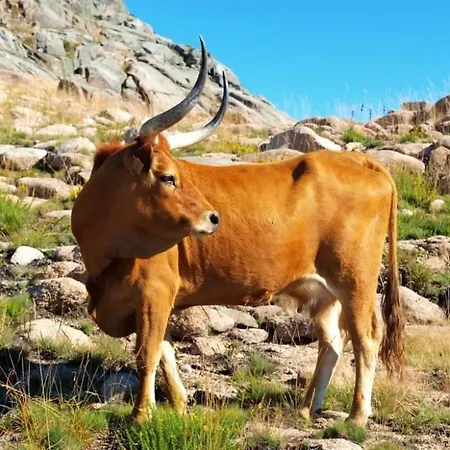 Sao Cristovao Nature Country