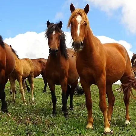 Sao Cristovao Nature Country Venda Nova (Villa Real)