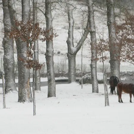 Sao Cristovao Nature Country 2*