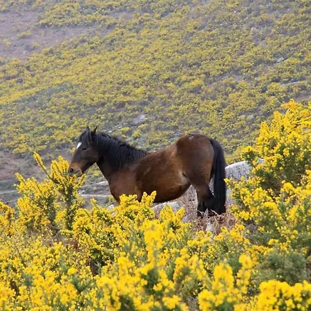 호텔 Sao Cristovao Nature Country Venda Nova (Villa Real)