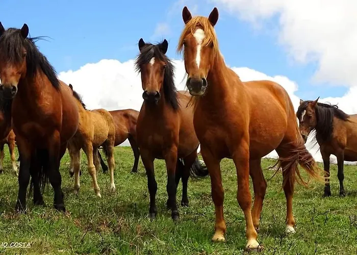 Sao Cristovao Nature Country Venda Nova (Villa Real)