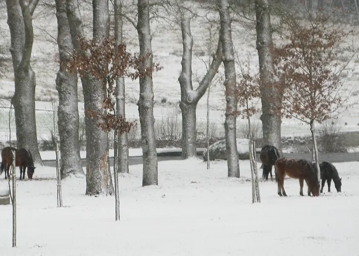 Sao Cristovao Nature Country 2*