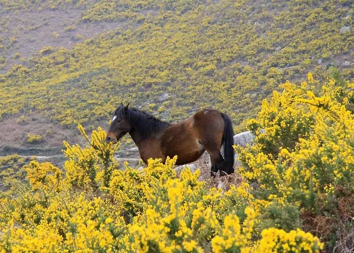 Ξενοδοχείο Sao Cristovao Nature Country Venda Nova (Villa Real)